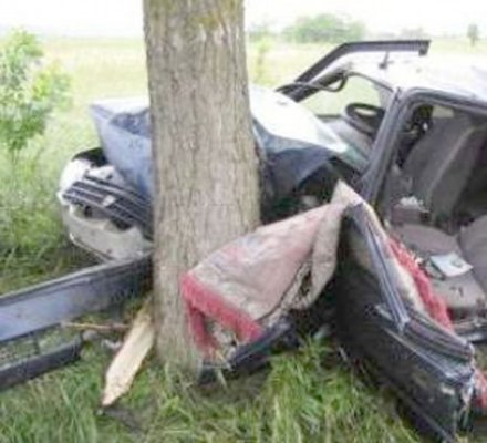 A intrat cu maşina în pom, speriată de un câine